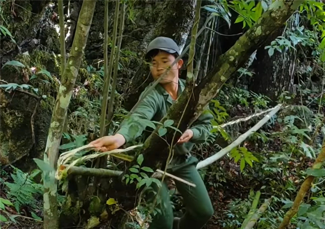 小伙太狠心!制作了一把3米长的弓弩,射中一只30斤的豪猪