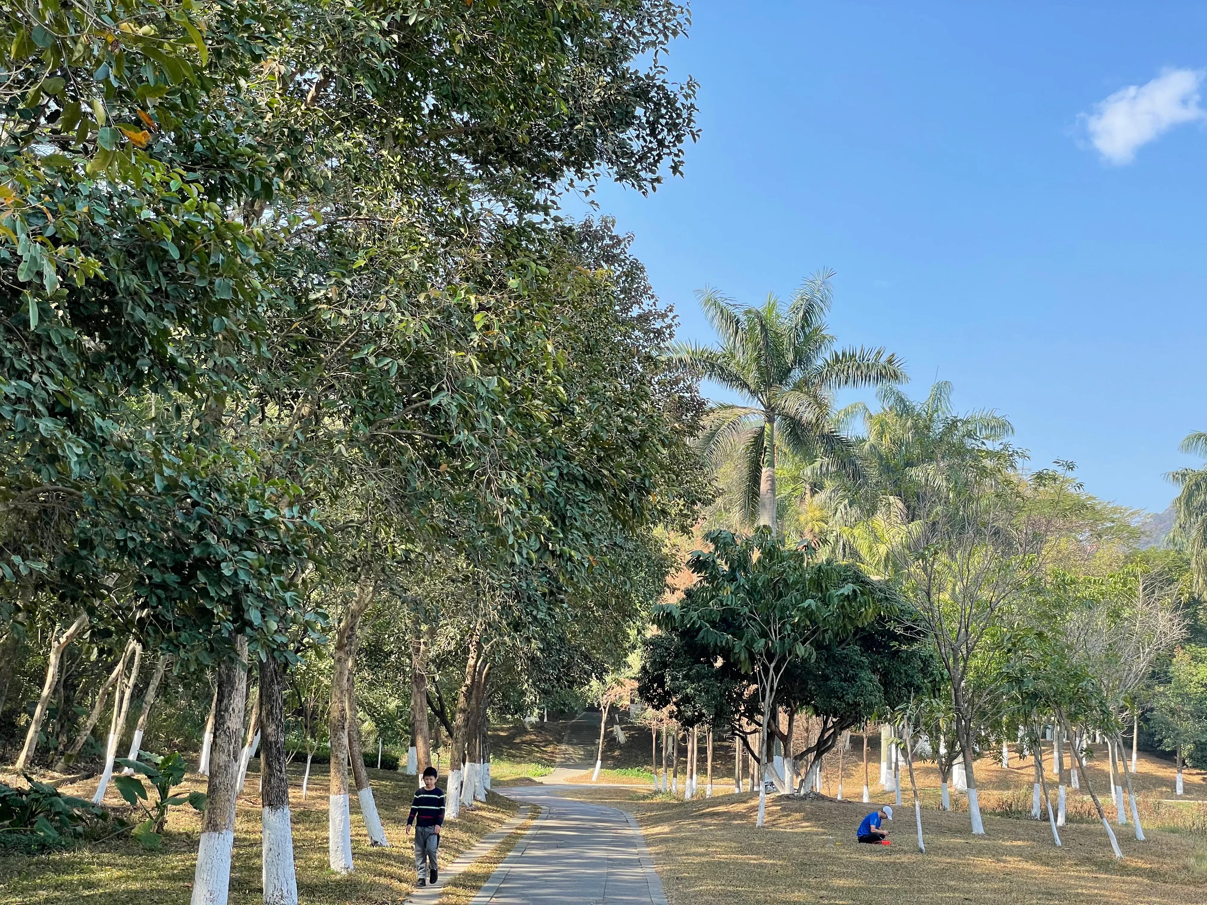 东莞旗峰公园爬山打卡,东莞人的公园