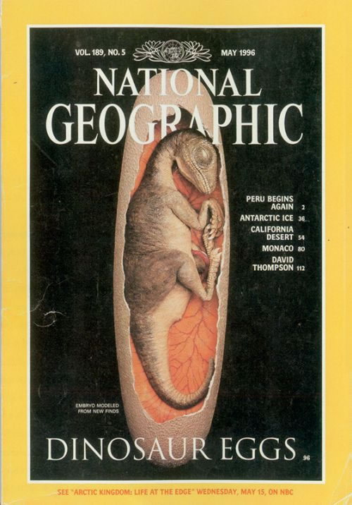 中国最著名的恐龙是什么恐龙,在中国发现的肉食恐龙有哪些