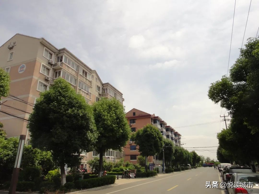 金秋赏“金”：新老照片对比金山发展老金山都不一定认得全