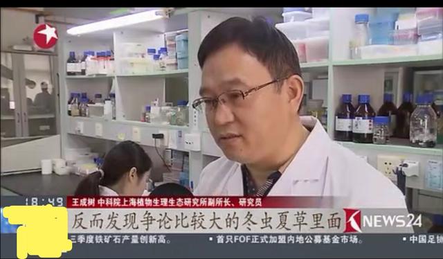 从广西“达妮”出落成“蛹虫草皇”