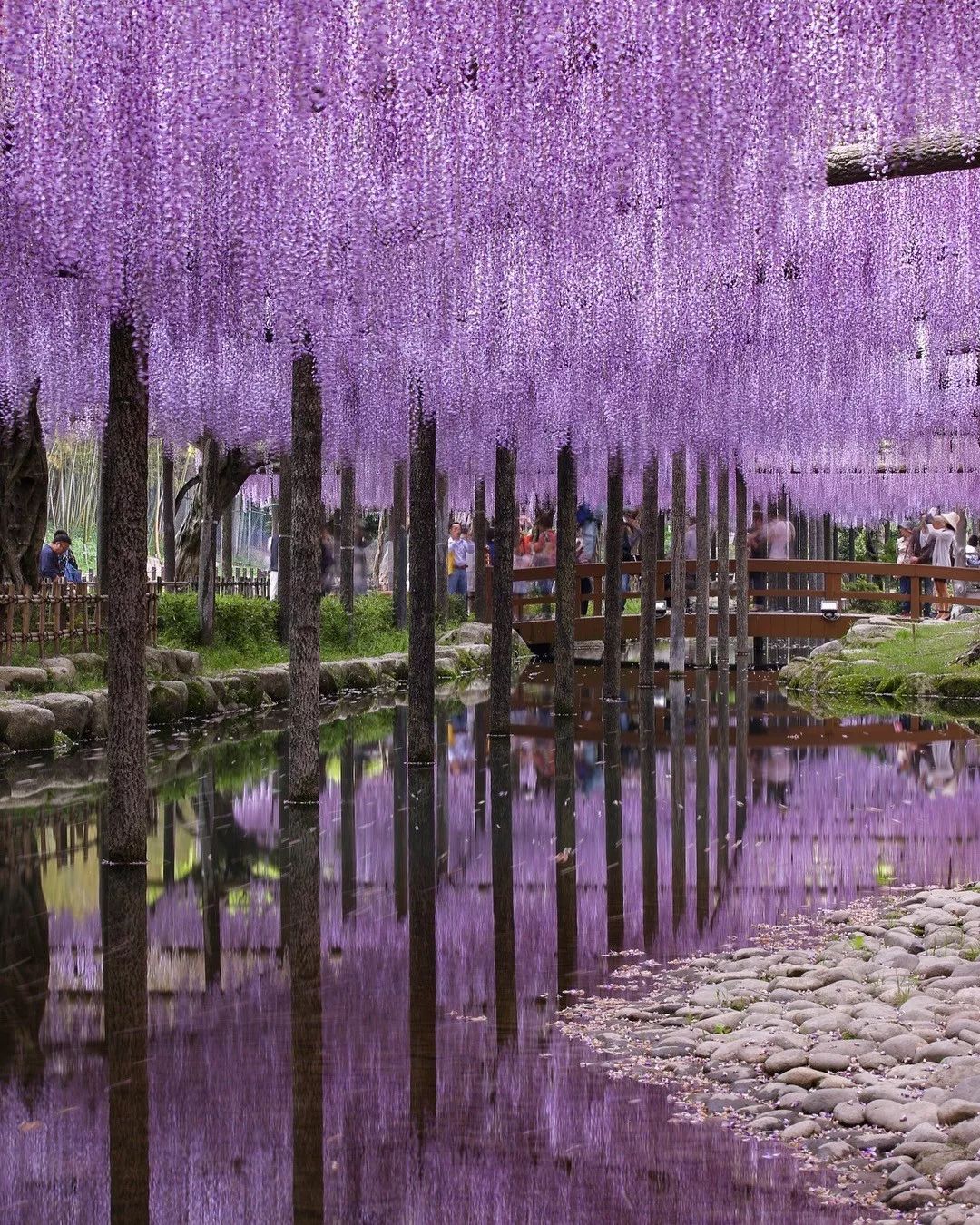 日本名古屋有什么好吃的,名古屋美食大起底