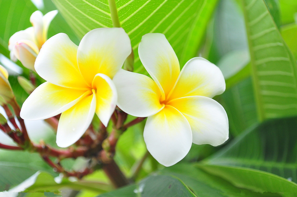 随遇而安不悲不喜,随遇而安一切皆好