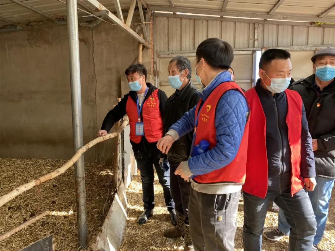 农技员下乡指导春耕,春耕农技服务送下乡