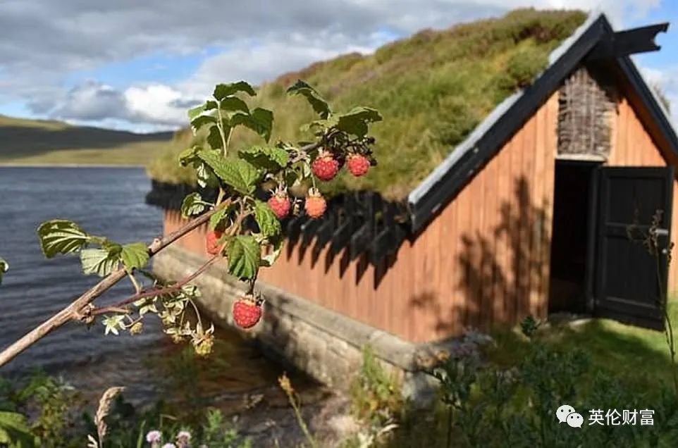 抄底烂尾楼的企业家,抄底核心区老房子