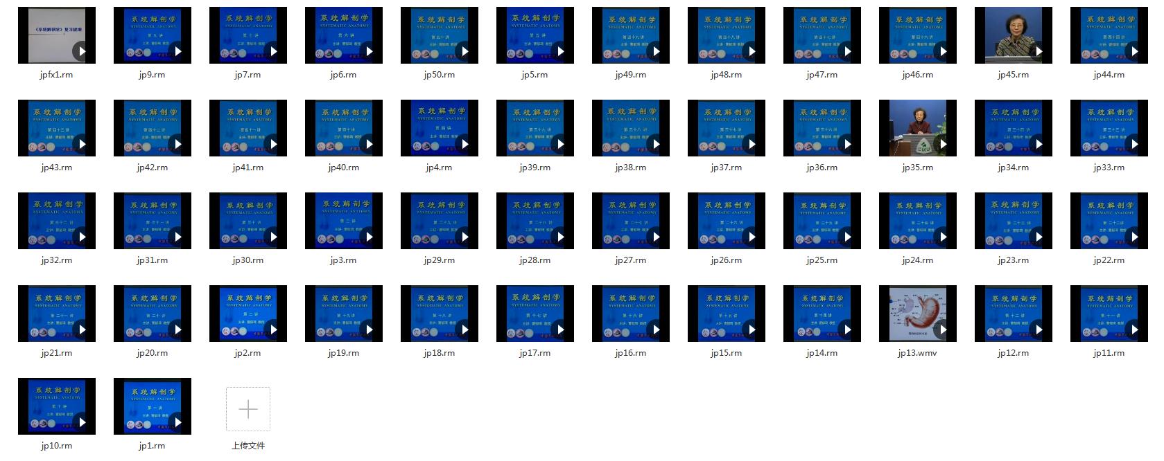 资源分享|这份对解剖学专业很有帮助的中山大学人体解剖学视频