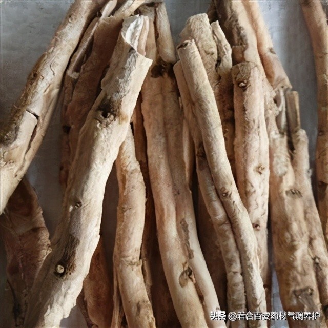 中药材地下虫害怎么管理,药材如何防病虫害