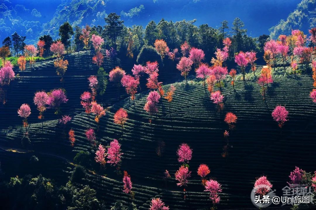 美图欣赏黄河全貌,航拍九曲黄河最美视频