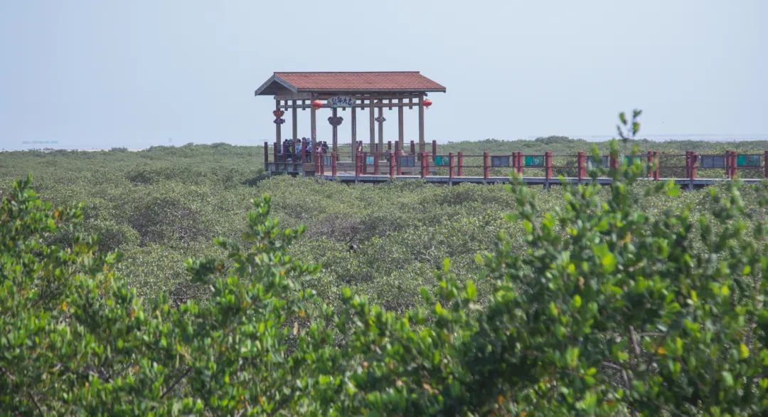 银海风景,银海美景