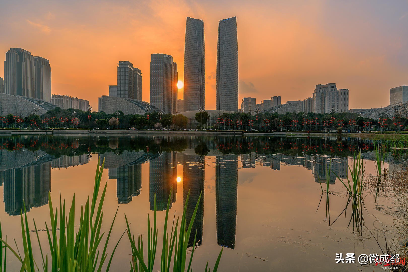 成都的新职业,成都新行业