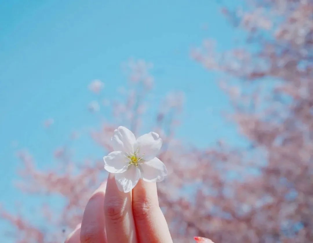 春天登山正确打开方式！这些藏在深处的秘境、美宿、茗茶在等着你！