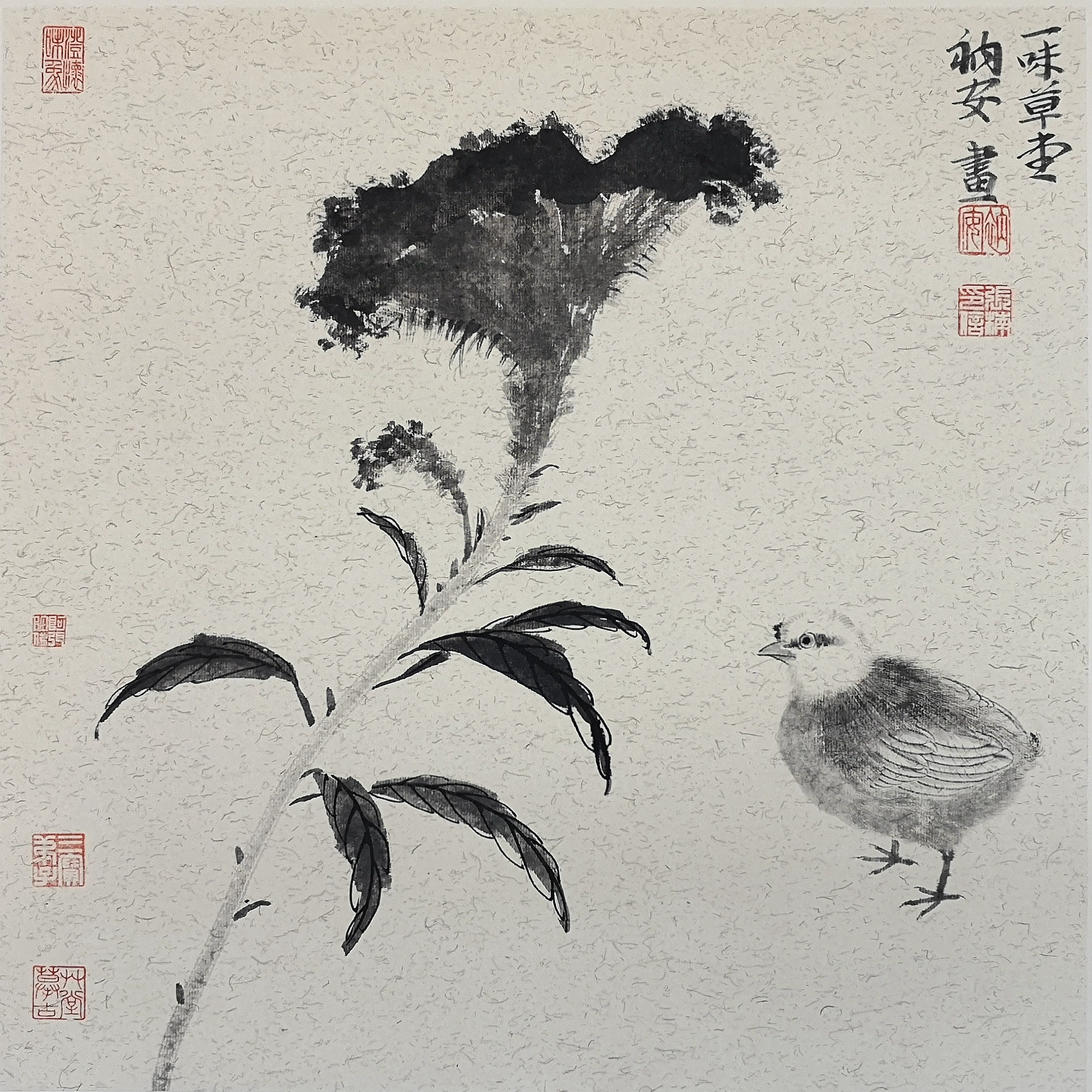 青年画家张楠：画画的时候，就要做到“心无杂念”。