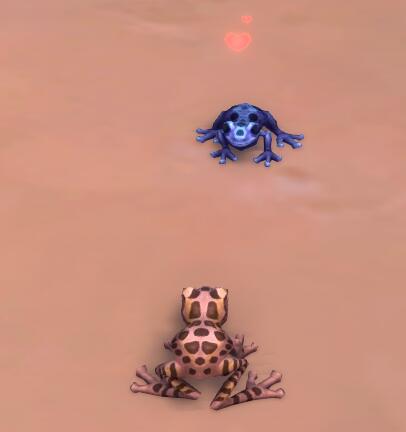 魔兽世界祖阿曼战熊怎么获得,魔兽世界战熊坐骑多少g