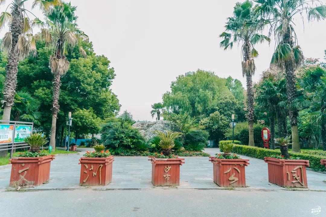 30+公园在路上，荆州又要“补绿”了