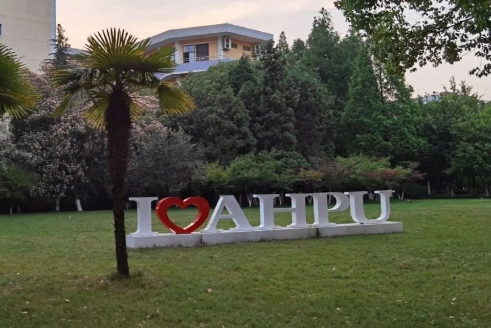 安徽工程大学国际工程师学院二期,安徽省博士学位授予立项建设单位