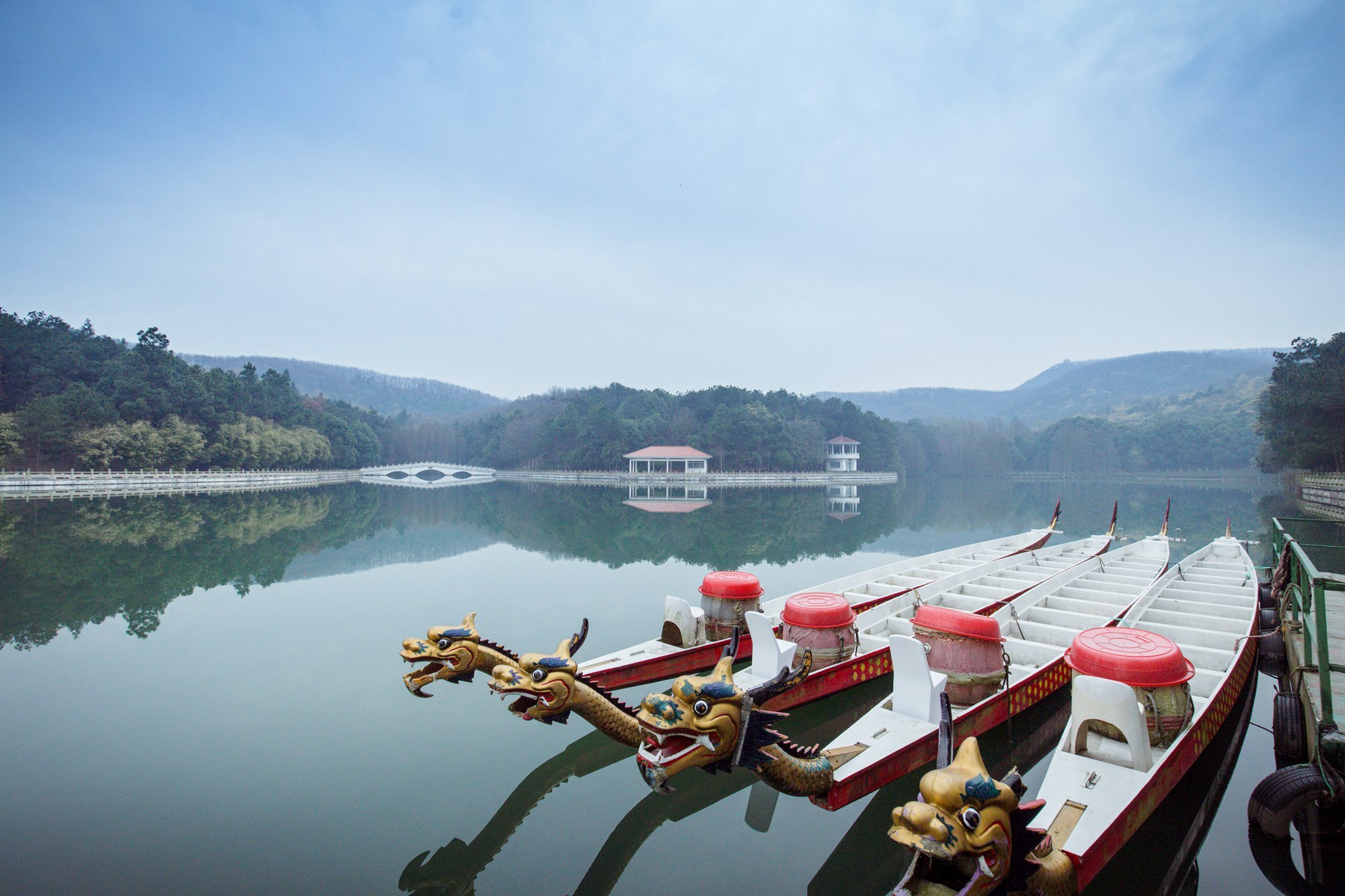 今日春分,武汉这时候不仅有樱花,这里的花随风一吹人都酥了