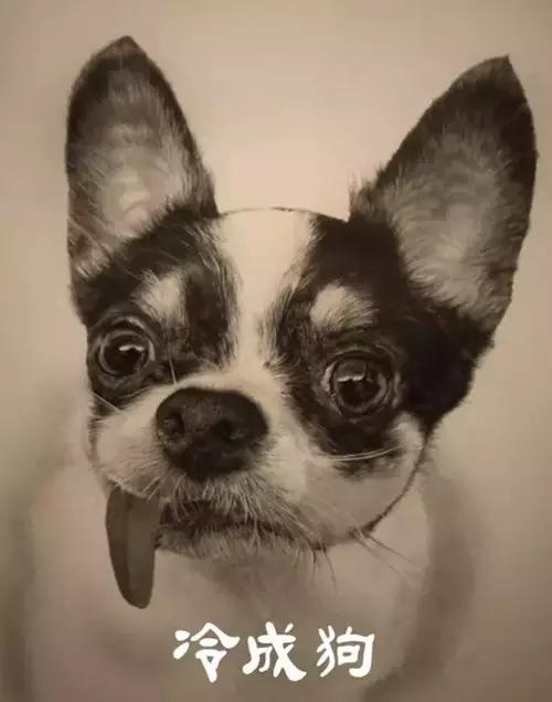 地道的宝鸡人,宝鸡人宝鸡话