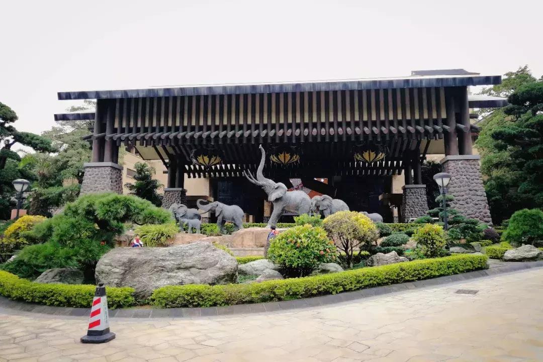 去广州长隆动物园怎么玩划算,广州长隆动物园一天最全游玩攻略