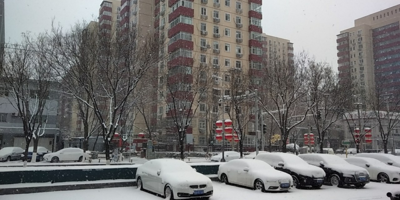 小文好就业吗,小文梦想成真