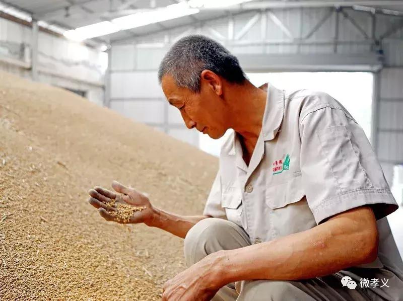 下好先手棋打好主动仗图片,下好先手棋打好主动仗