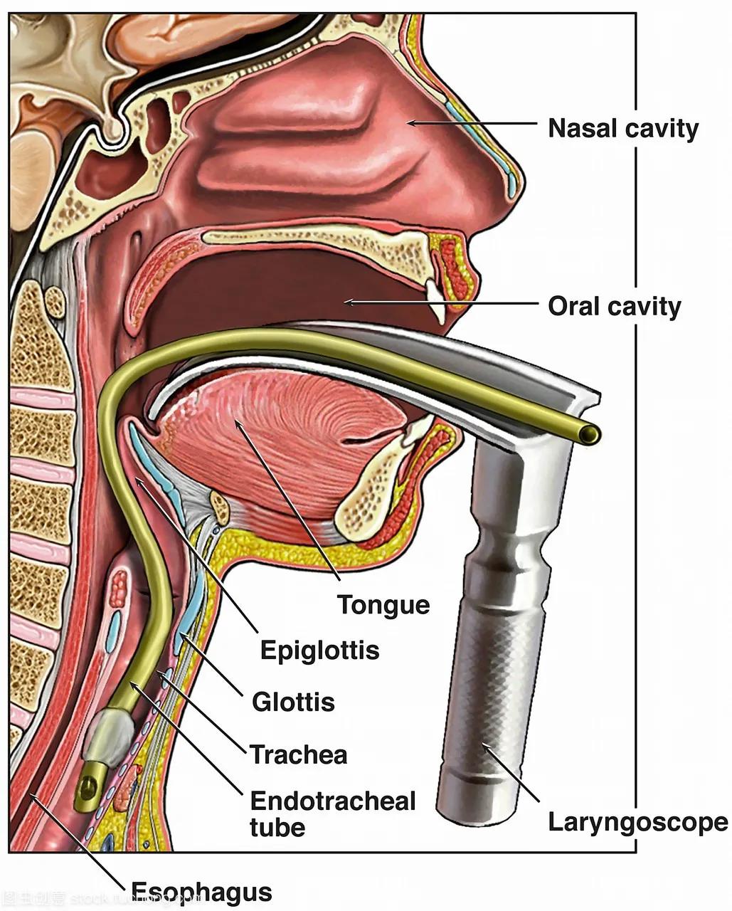 甲亢眼突最新治疗方法,甲亢突眼越来越严重的表现