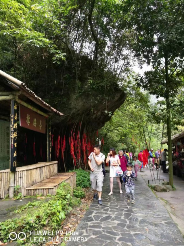 重庆黑山谷避暑适合吗,重庆避暑7天黑山谷