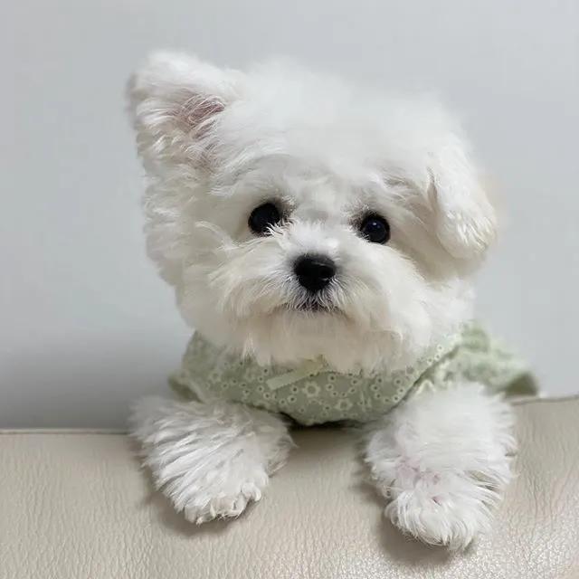 拿什么方式减压,有什么最好的减压方法