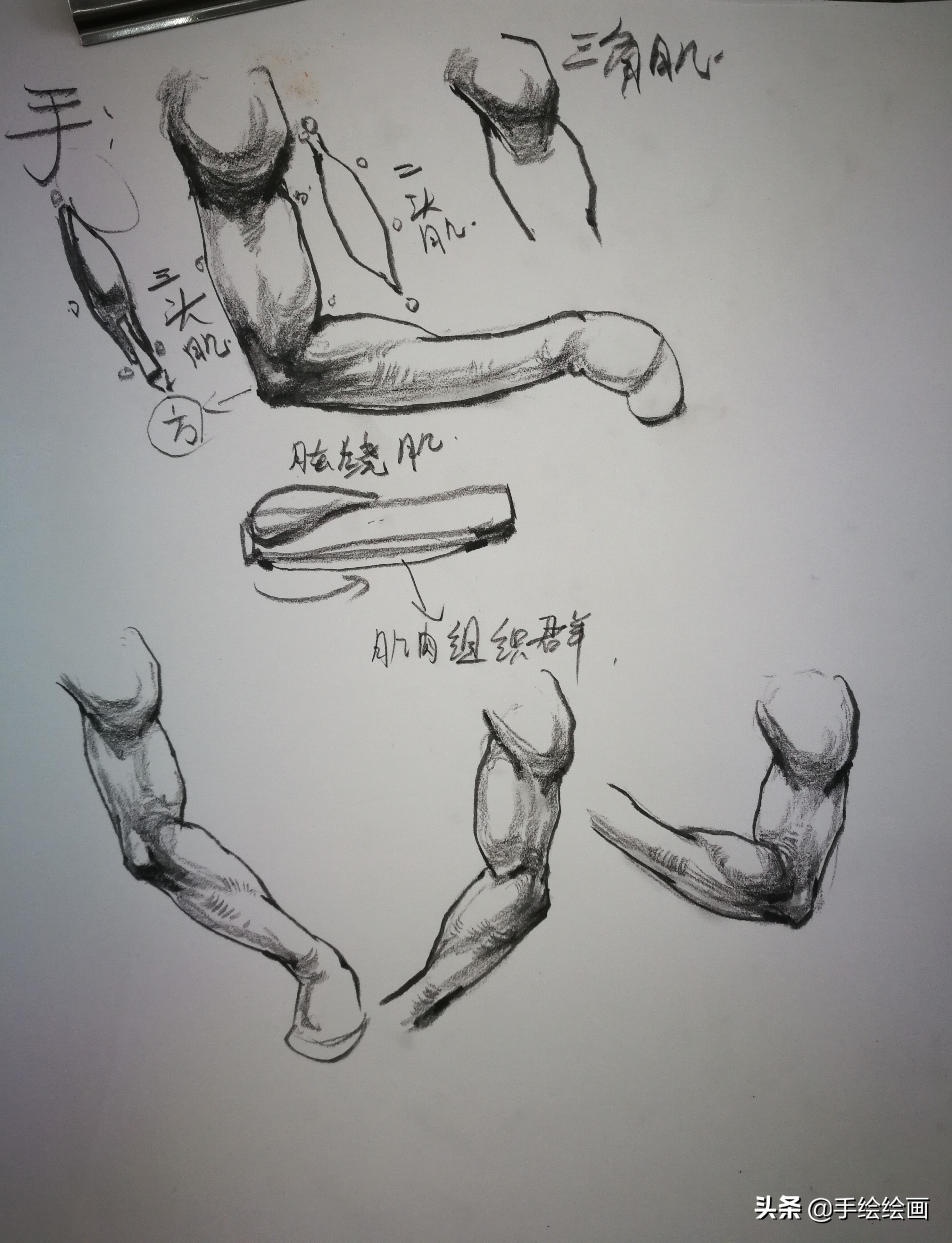 素描速写入门基础画法视频,素描入门零基础教程速写