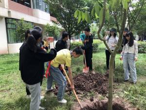 四川内江东兴区五星小学,内江市东兴区东兴小学