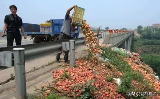 几十万斤油桃“倒在路边”，一年辛苦又为何？真相望知晓