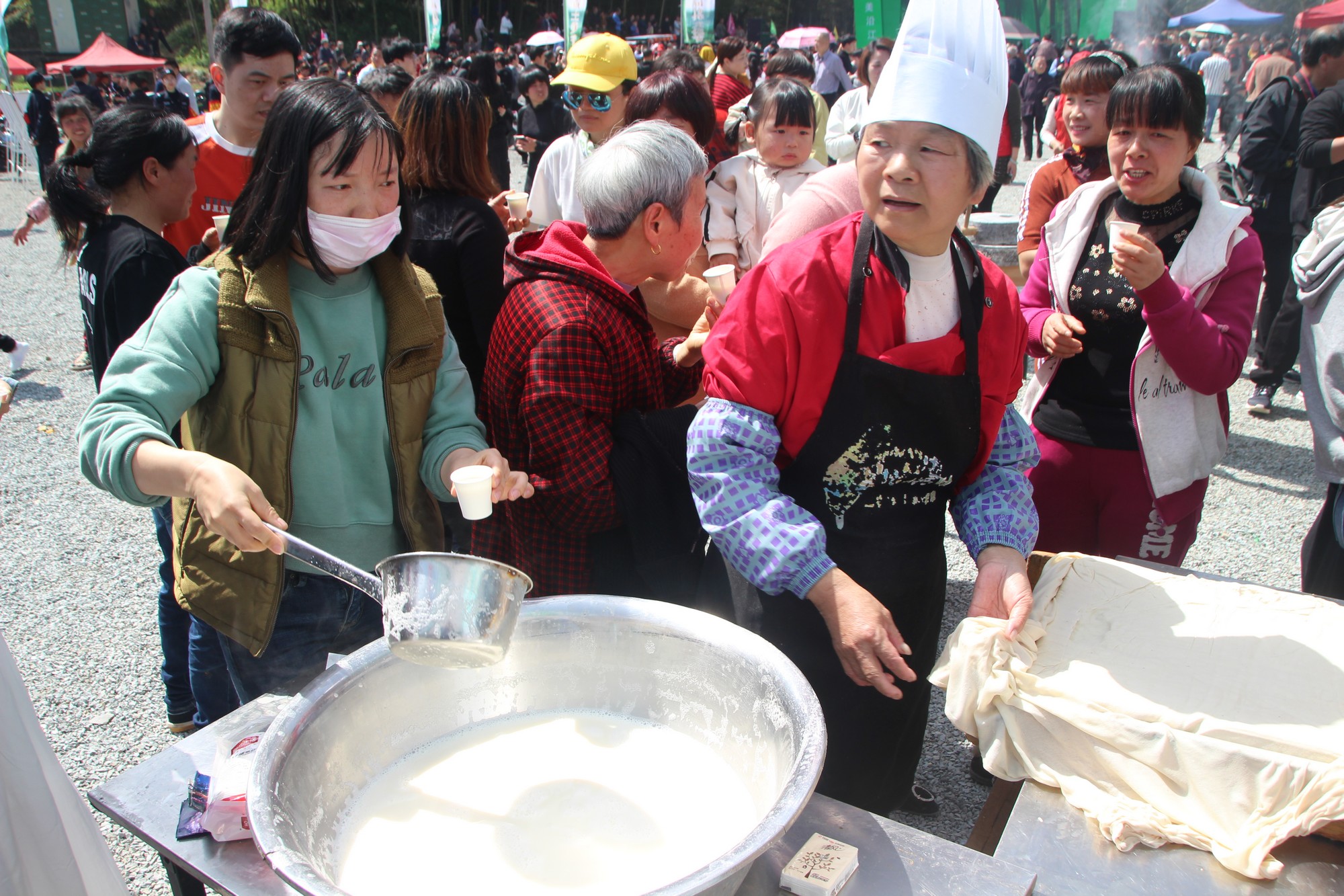 浙江临海沿江镇竹笋,临海市野生竹笋