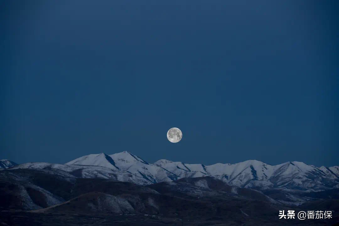 招商信诺养老年金靠谱吗,招商自在人生养老金怎么样