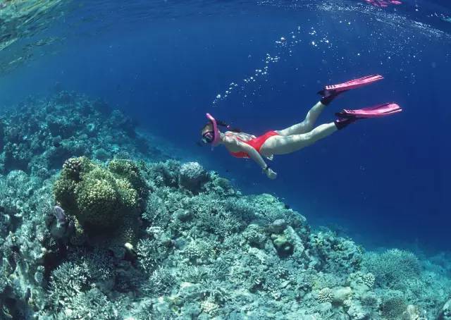 斯米兰岛最简单三个景点,斯米兰景点