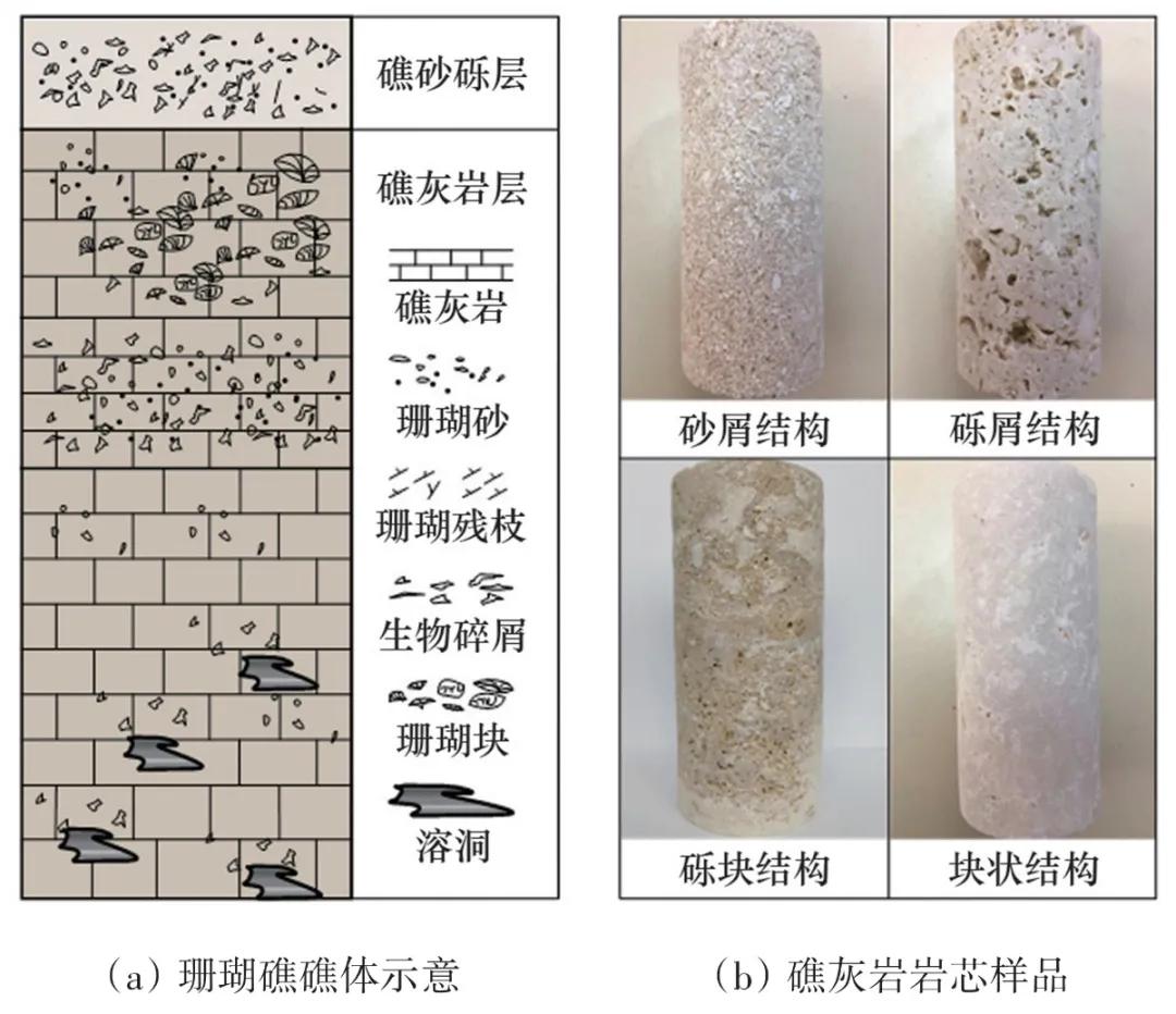 珊瑚礁灰岩,珊瑚石灰岩的构造类型