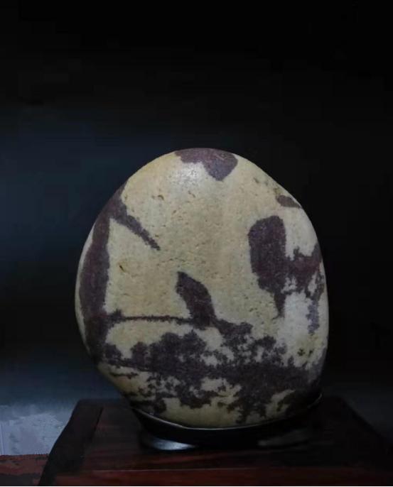 都是些什么“鸟石”？保证有你好看