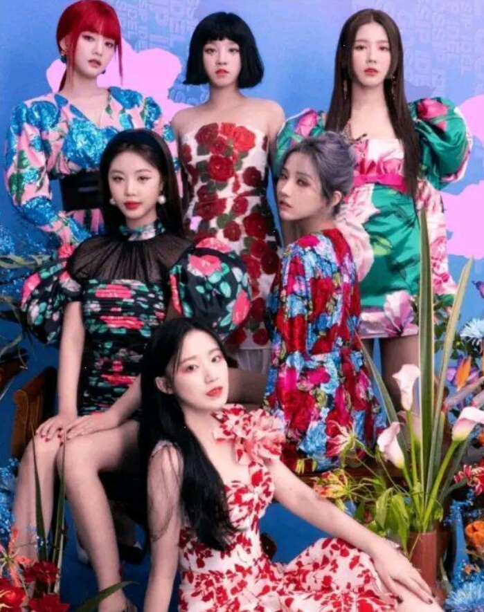 cube徐穗珍退队,韩国网友对徐穗珍退队的看法