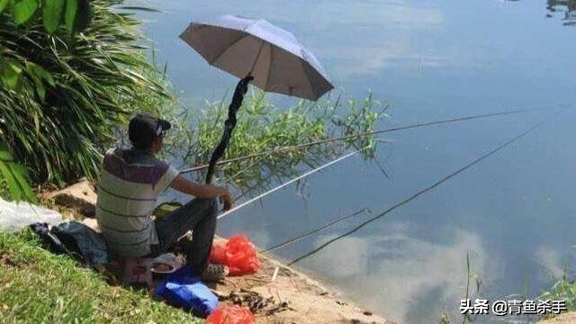 水中氧气含量与水深关系,水中氧气不足怎么钓鱼钓深钓浅