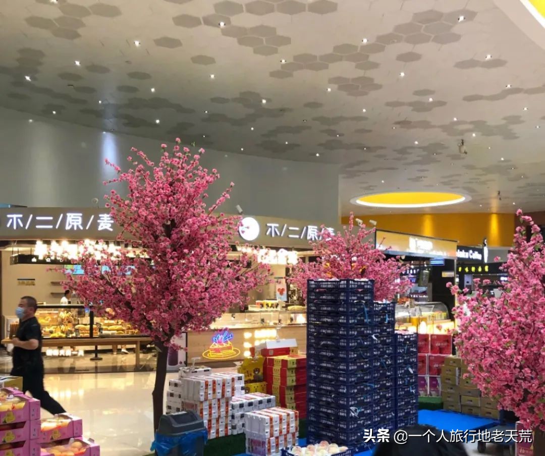 高速公路上最美的服务区在哪,中国十大高速公路服务区景区