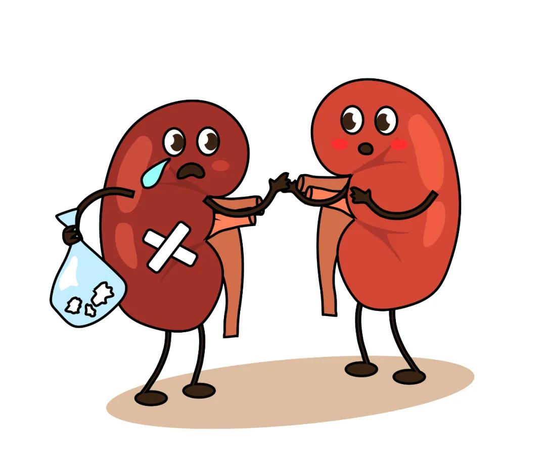 别让痛风伤了你的肾，8个护肾方法要知道