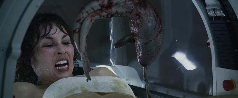 异形到底有多少种形态,异形到底存在吗