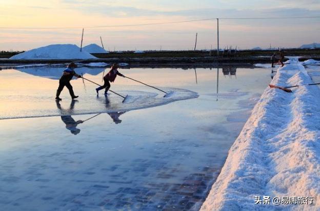 天津周边踏春好地方,天津一日游踏春路线