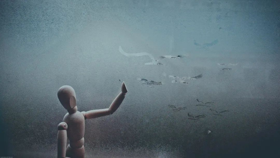 养猫心理学研究,心理学为什么忽然想养猫