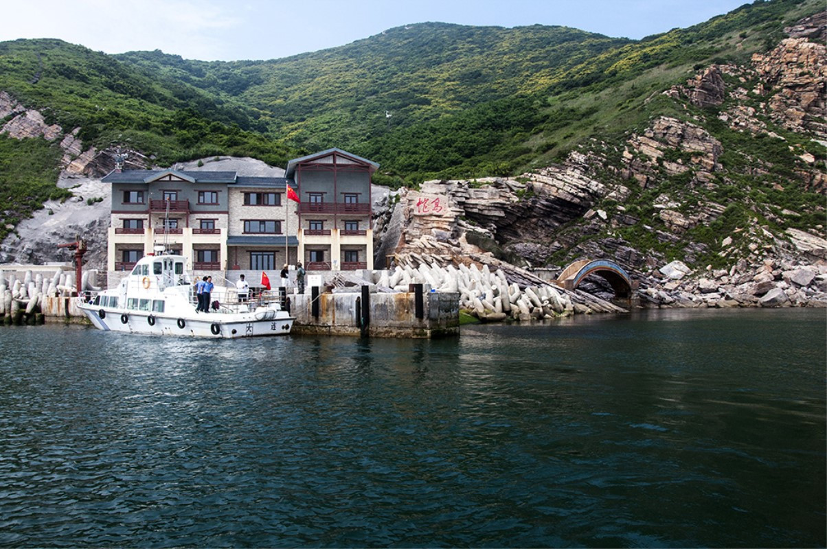 岛上有两万条蛇丢两只蜜獾会咋样,巴西蛇岛上放10只蜜獾会怎么样