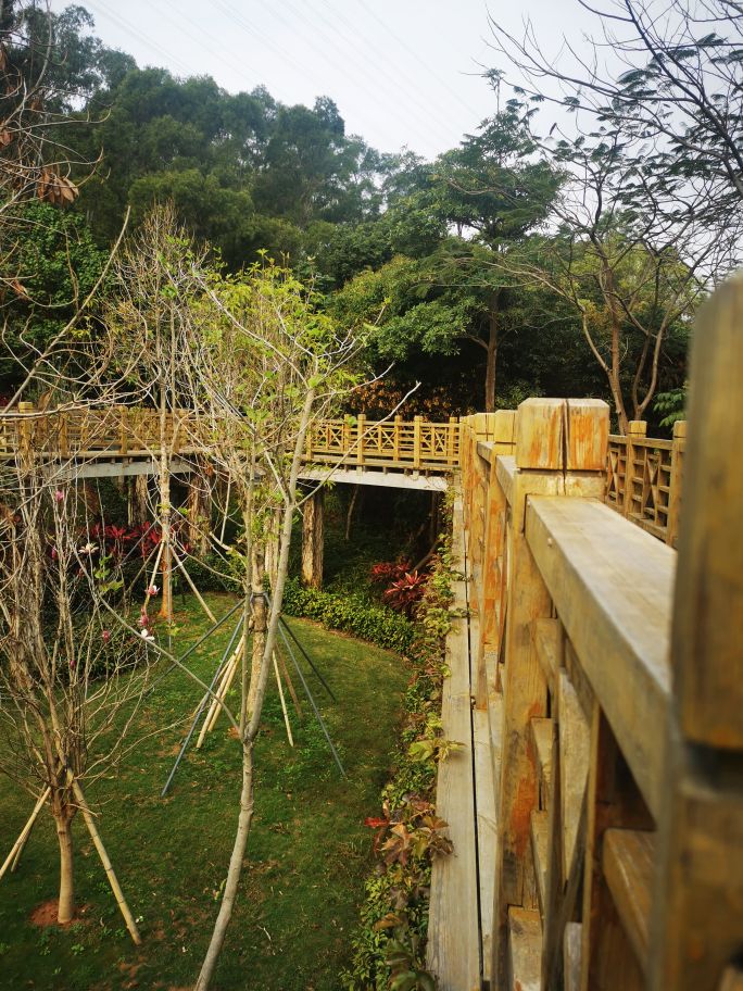 深圳宝安海滨公园游园图,深圳市娱乐场所