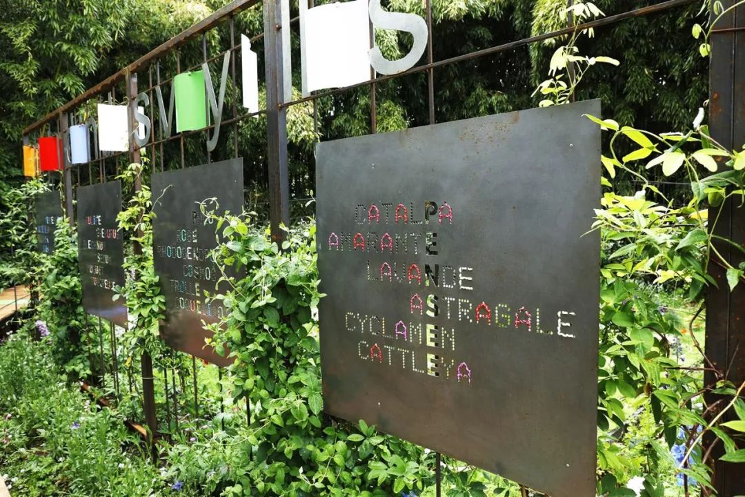 文字带来的魅力,奇特文字符号