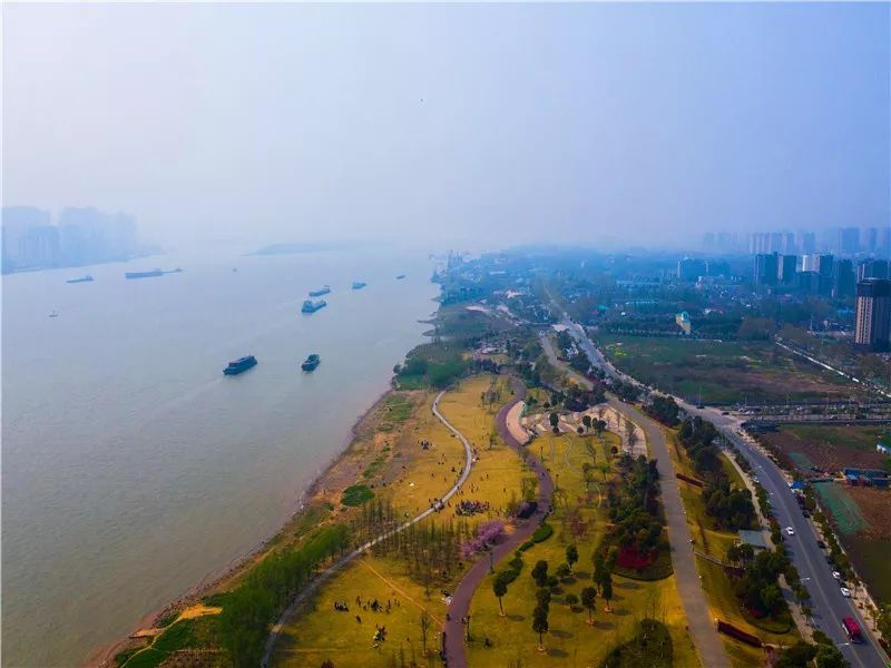 最美城市滨江生态岸线,江滩风景太美了