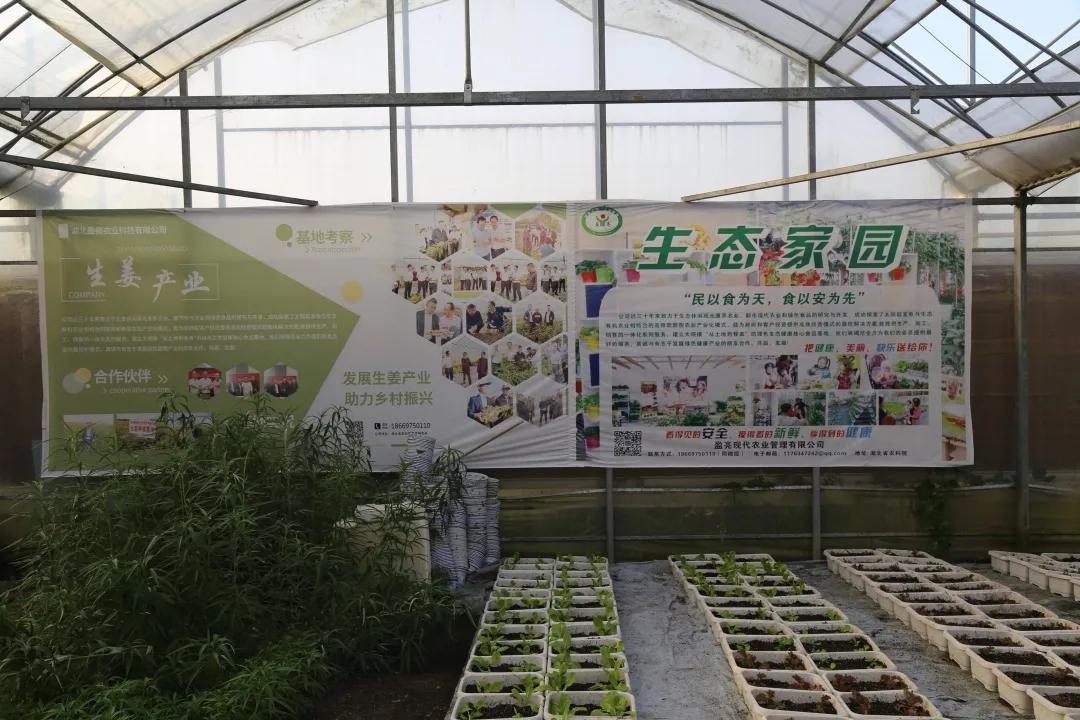 汉川5天周边游攻略,汉川徒步旅游攻略一日游