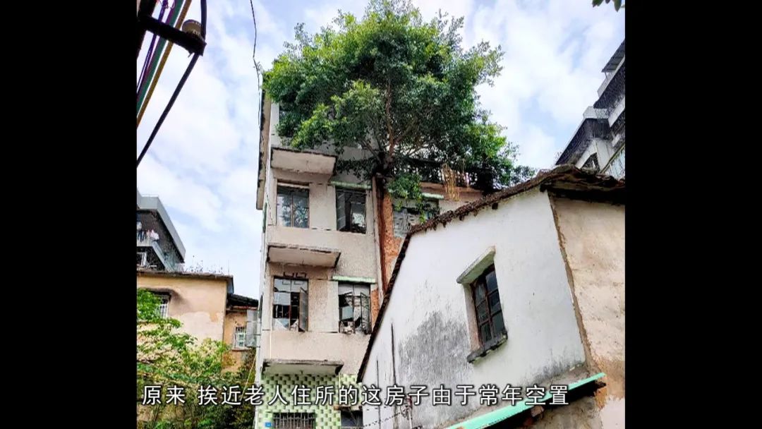 惠城区社区矫正活动范围,惠城区社会治安综合治理中心