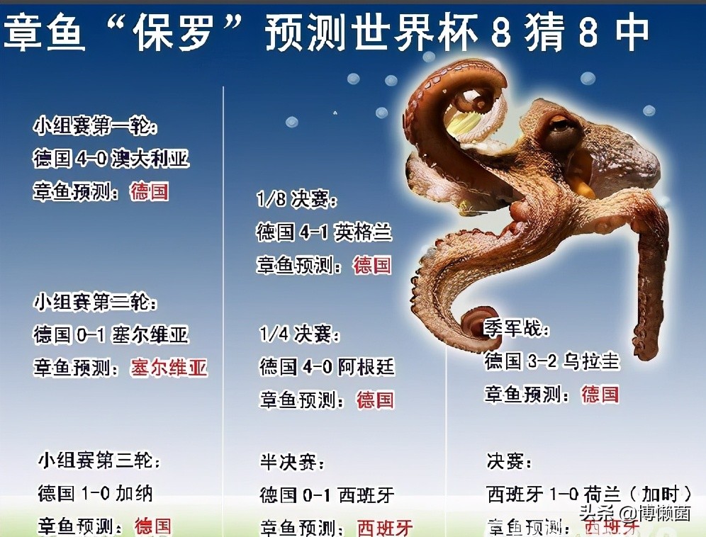 章鱼外星生物是干什么的,外星生物章鱼