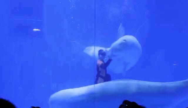 青岛海边遛娃免费十佳去处,青岛夏季遛娃